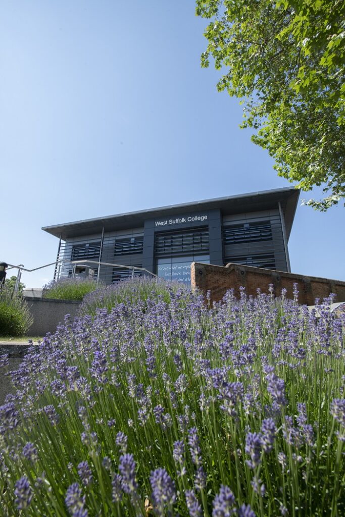 A photo of the West Suffolk College building from a low angle with plants in front of it